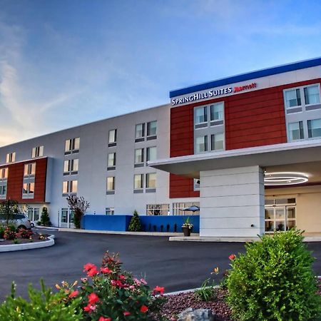 Springhill Suites By Marriott Scranton Montage Mountain Moosic Exteriör bild